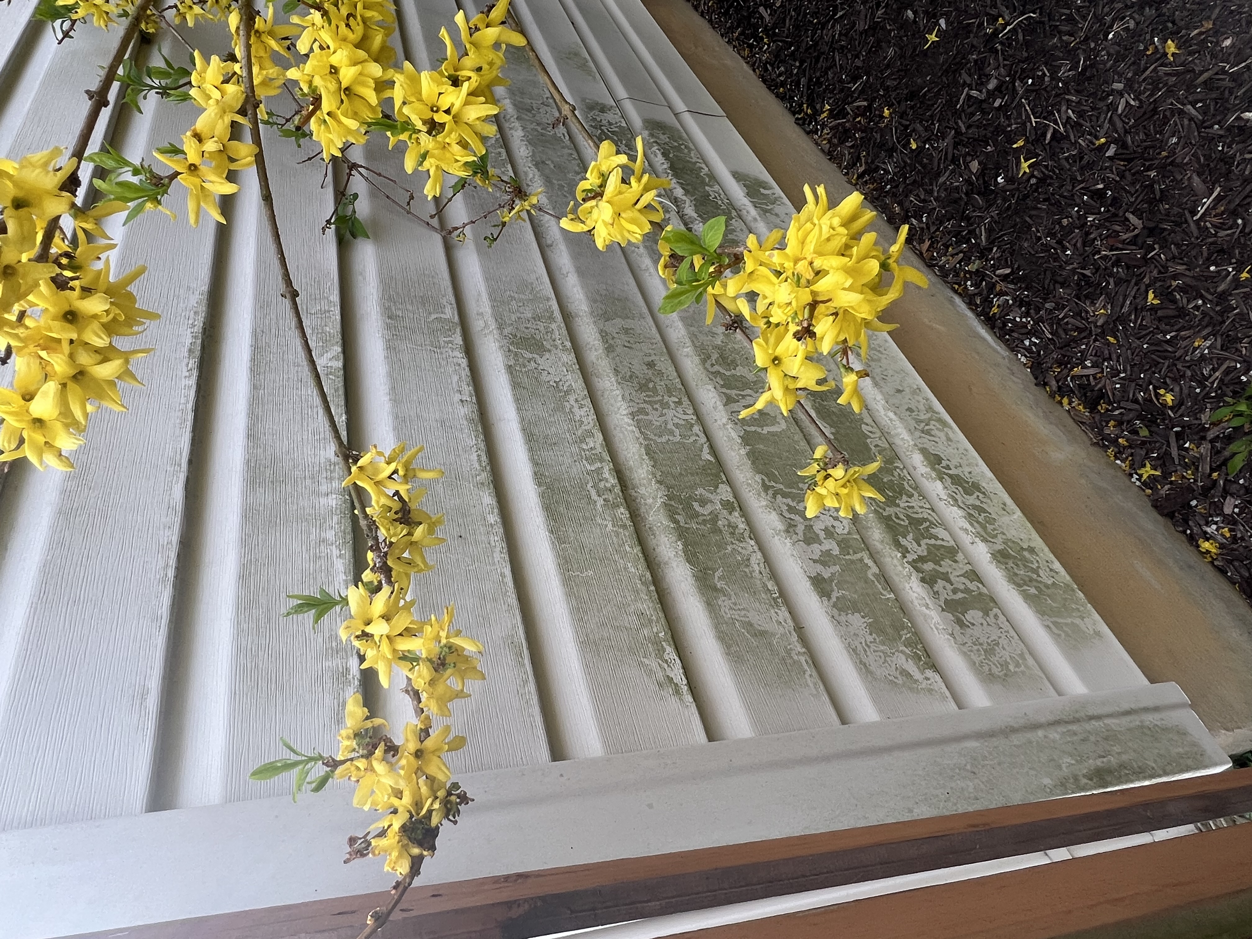 Top Quality House Washing performed in Roanoke VA